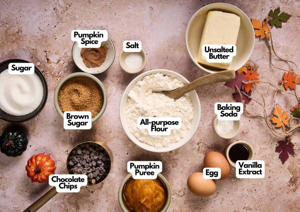 Labeled baking ingredients for Pumpkin Chocolate Chip Cookies on a counter include sugar, brown sugar, pumpkin spice, salt, all-purpose flour, unsalted butter, baking soda, eggs, vanilla extract, pumpkin puree, and chocolate chips.