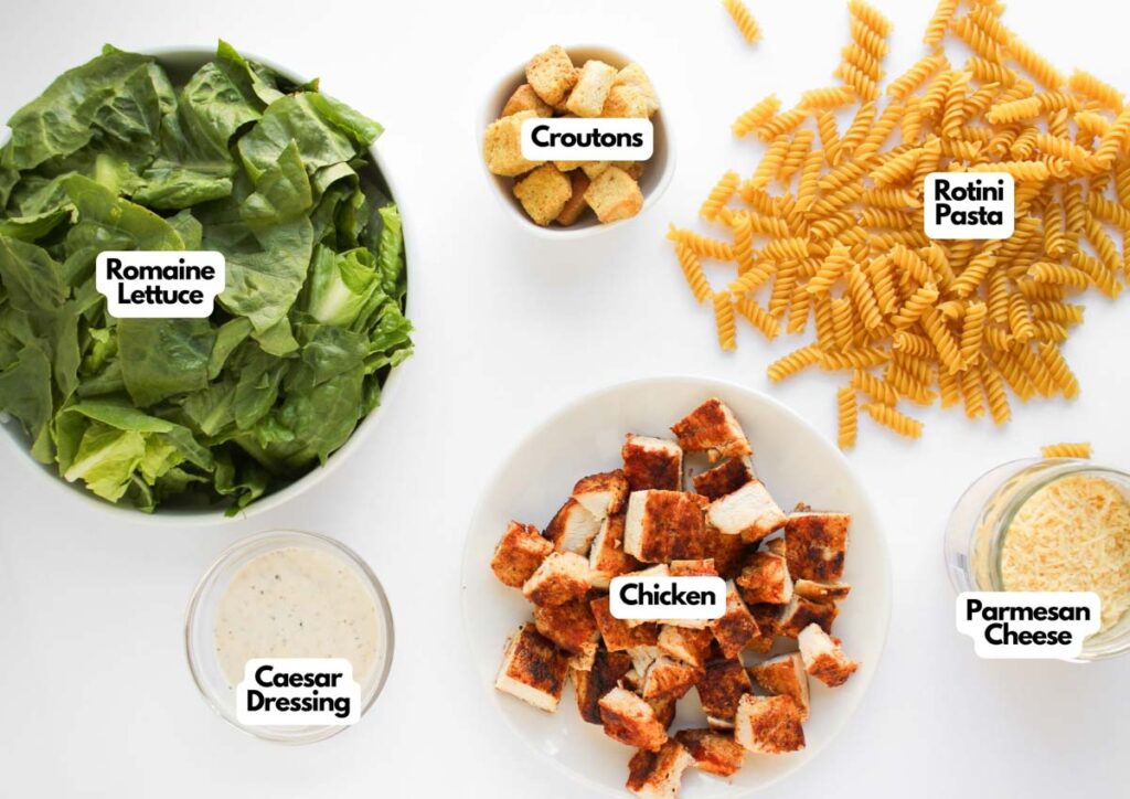 Top-down view of Chicken Caesar Pasta Salad ingredients—romaine lettuce, croutons, rotini pasta, Caesar dressing, diced cooked chicken, and grated Parmesan cheese—all labeled and arranged separately on a white surface.