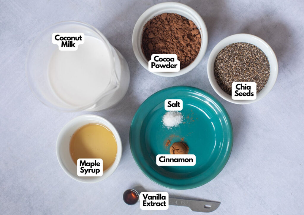 Five labeled ingredients for Chocolate Chia Pudding: coconut milk, cocoa powder, chia seeds, maple syrup, cinnamon and salt on a plate, plus vanilla extract in a measuring spoon.