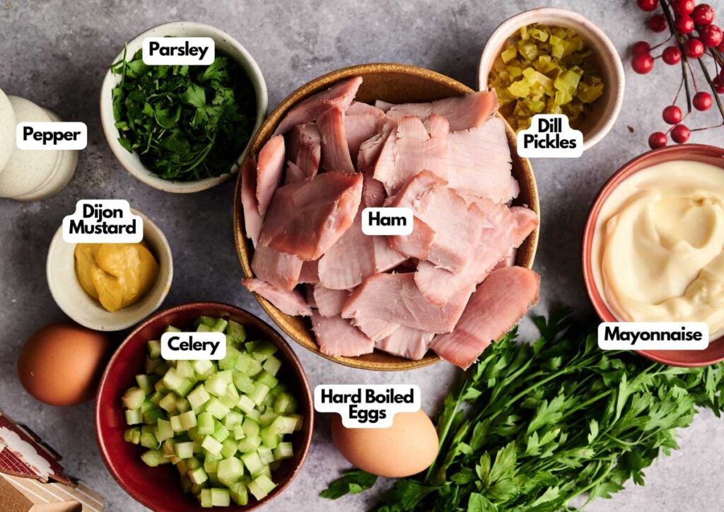 A bowl of sliced ham, perfect for making Ham Salad, is surrounded by small bowls of mayonnaise, dill pickles, chopped celery, Dijon mustard, pepper, hard-boiled eggs, and parsley on a gray surface.