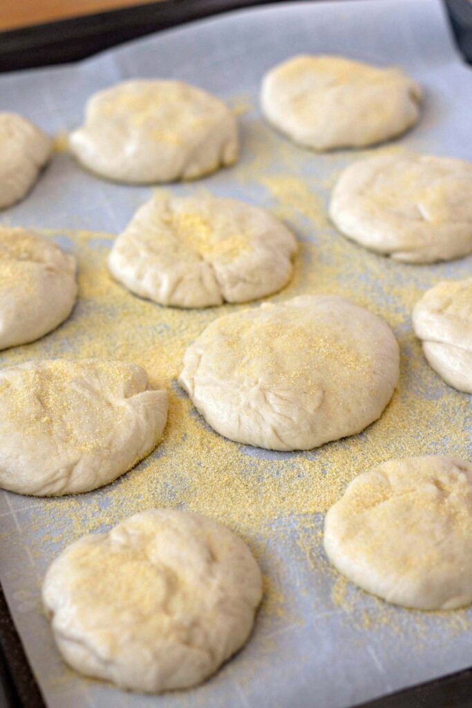 Homemade English Muffins: Unbaked dough rounds sprinkled with cornmeal on parchment paper, arranged on a baking sheet, ready for baking.