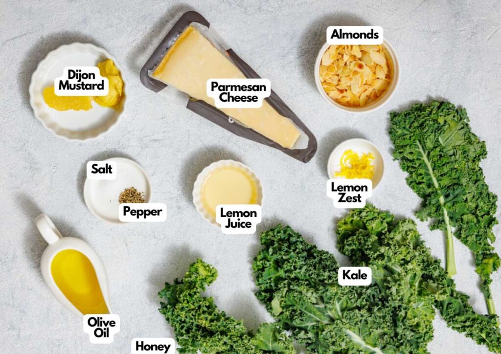 Ingredients for Kale Salad with Lemon and Parmesan arranged on a countertop, including kale, Parmesan cheese, almonds, lemon zest, lemon juice, Dijon mustard, olive oil, honey, salt, and pepper.