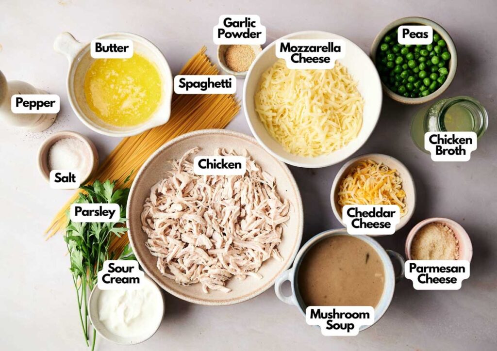 Ingredients for an Air Fryer Chicken Tetrazzini dish arranged on a table, including shredded chicken, spaghetti, cheeses, peas, seasonings, butter, sour cream, broth, and mushroom soup.